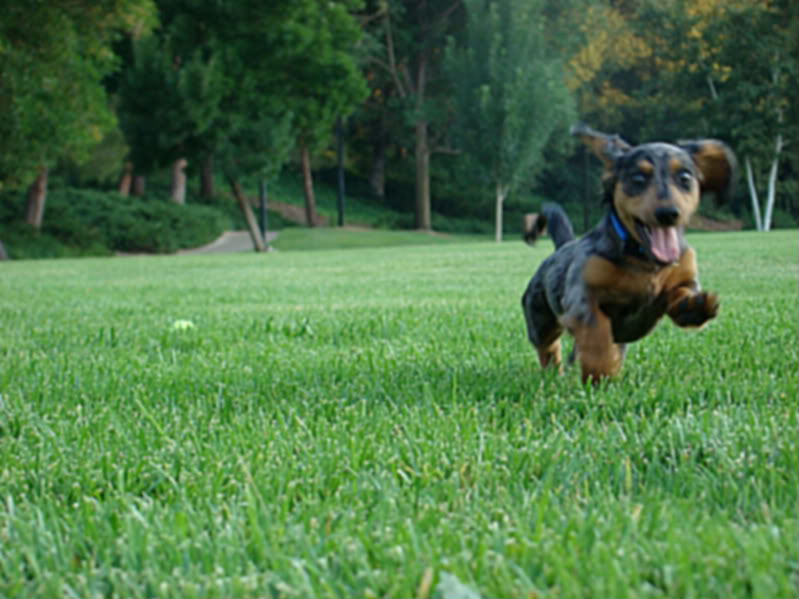 Name:  DSC01089-1.jpg
Views: 57
Size:  75.9 KB