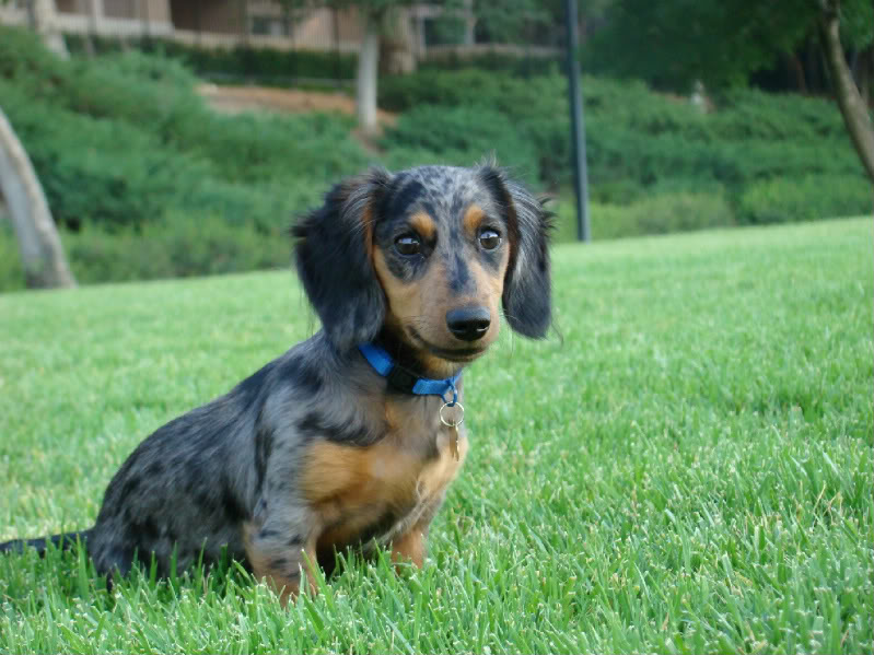 Name:  DSC01094-1.jpg
Views: 66
Size:  97.6 KB