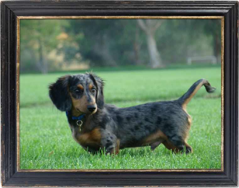 Name:  DSC01090-1.jpg
Views: 51
Size:  84.0 KB