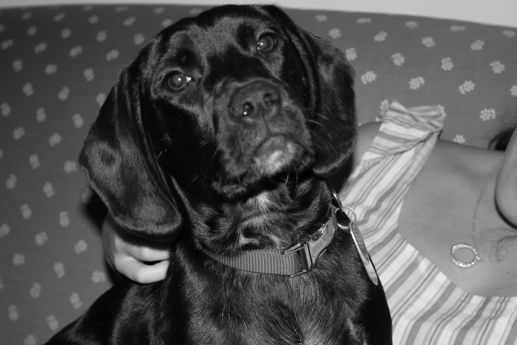 Name:  IMG_3355.jpg
Views: 53
Size:  100.6 KB