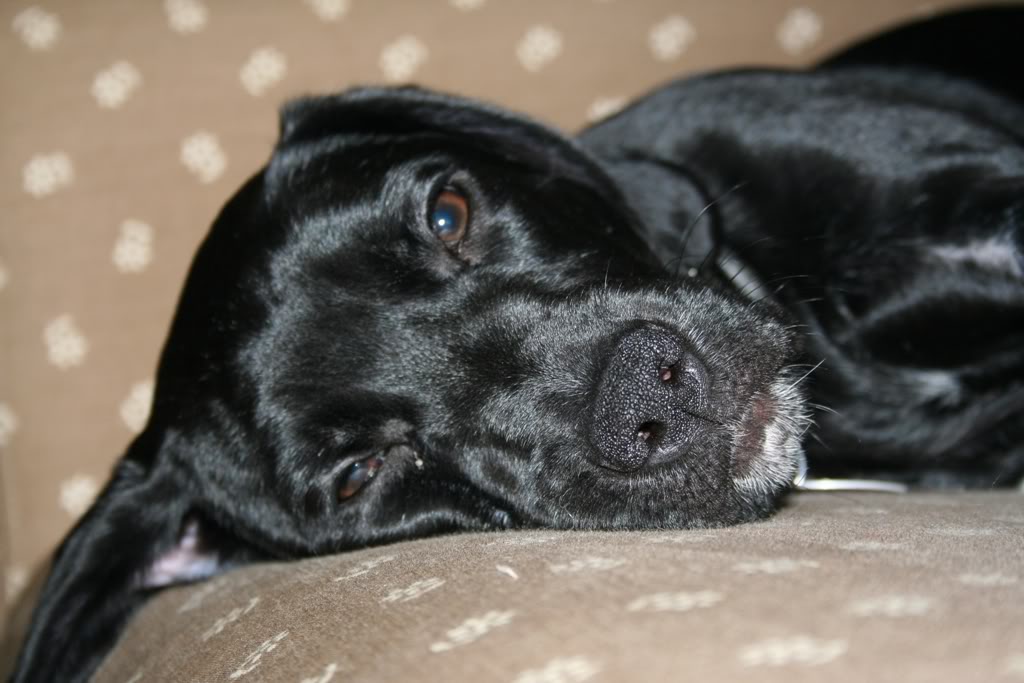 Name:  IMG_3138.jpg
Views: 58
Size:  96.1 KB