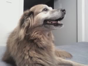 Name:  acca29873b9f.jpg
Views: 51
Size:  9.2 KB