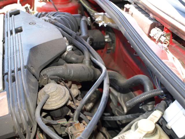 Name:  P6190796.jpg
Views: 116
Size:  62.0 KB