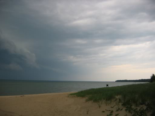 Name:  IMG_6705.jpg
Views: 54
Size:  11.4 KB