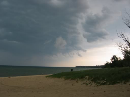 Name:  IMG_6719.jpg
Views: 44
Size:  13.6 KB