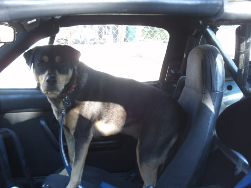 Name:  PICT0465.jpg
Views: 396
Size:  47.9 KB