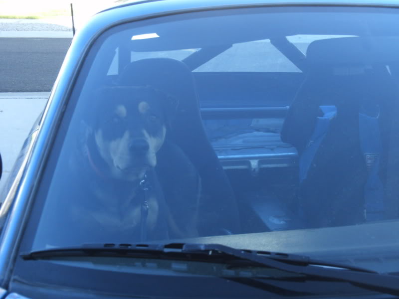 Name:  PICT0458.jpg
Views: 306
Size:  37.1 KB