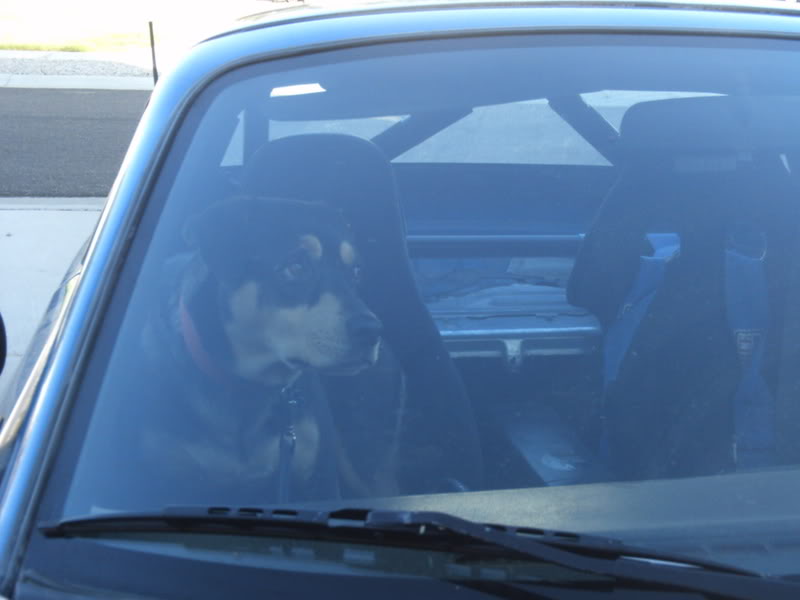 Name:  PICT0459.jpg
Views: 312
Size:  37.6 KB