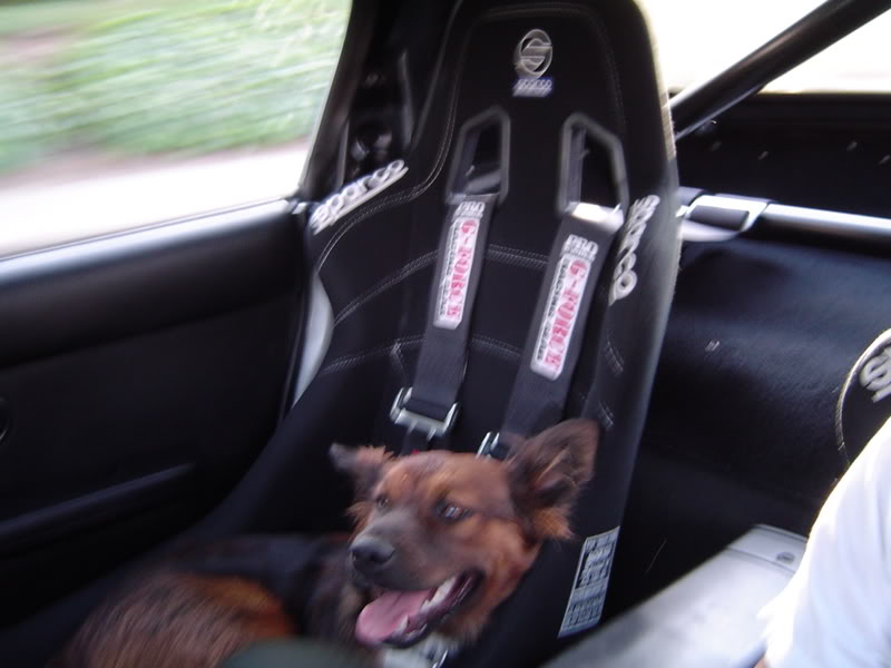 Name:  DSC00006-4.jpg
Views: 953
Size:  52.9 KB