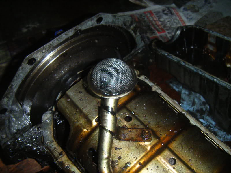 Name:  headsnmotormay24064.jpg
Views: 722
Size:  82.5 KB