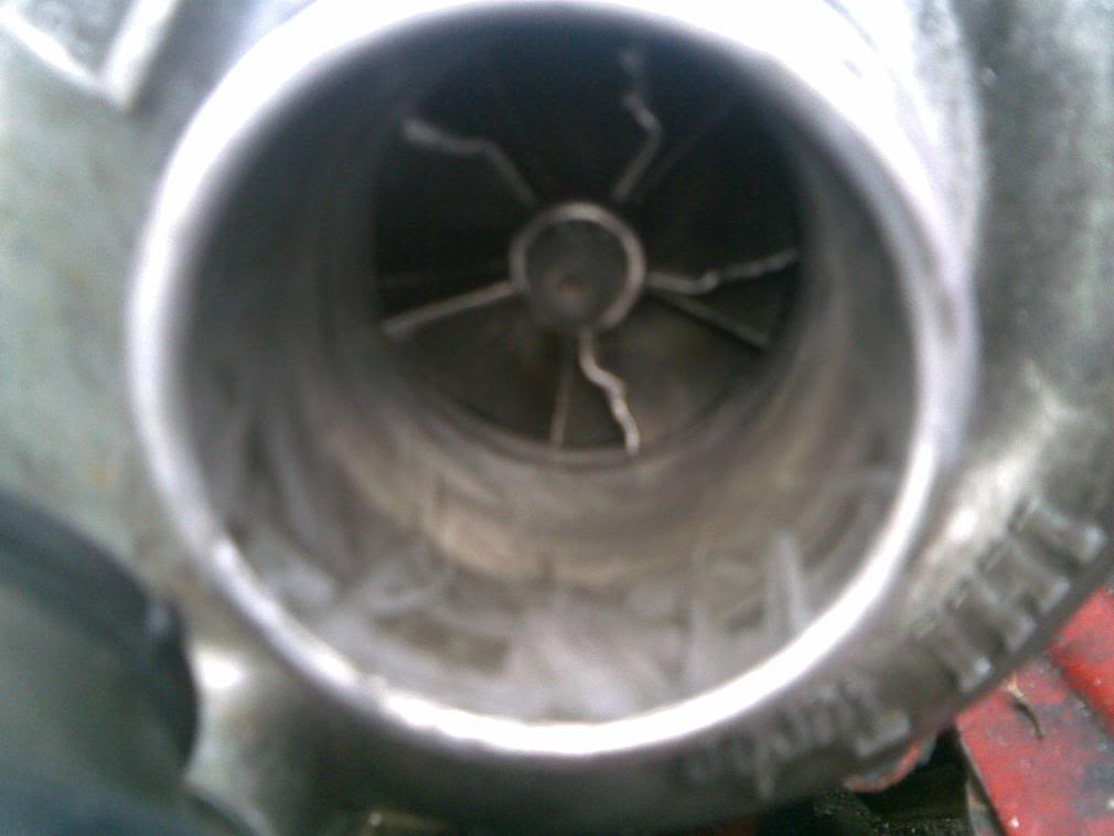 Name:  29032008001.jpg
Views: 49
Size:  50.0 KB