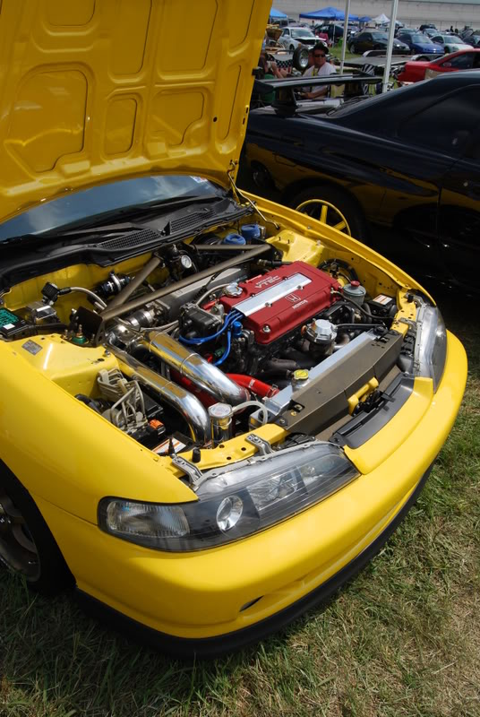 Name:  DSC_0183.jpg
Views: 48
Size:  136.5 KB