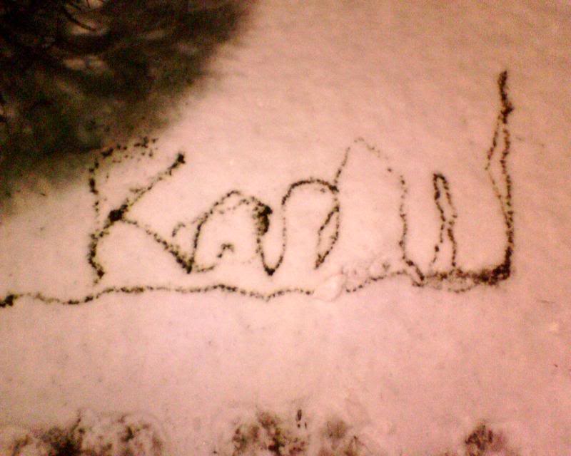 Name:  IMG02017.jpg
Views: 70
Size:  54.5 KB