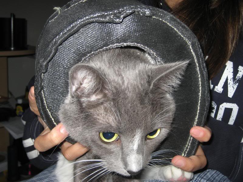 Name:  TurboBlanket.jpg
Views: 71
Size:  89.1 KB