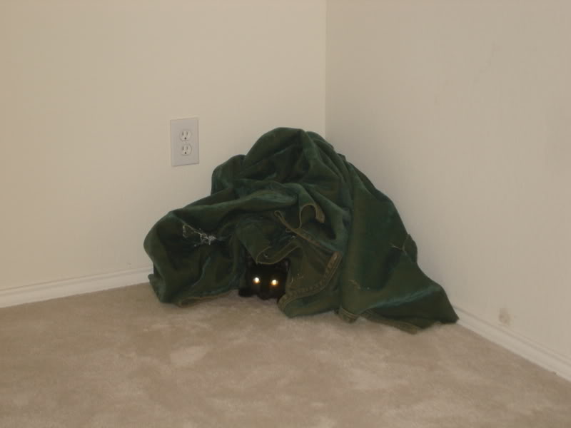 Name:  DSC01084.jpg
Views: 70
Size:  26.0 KB