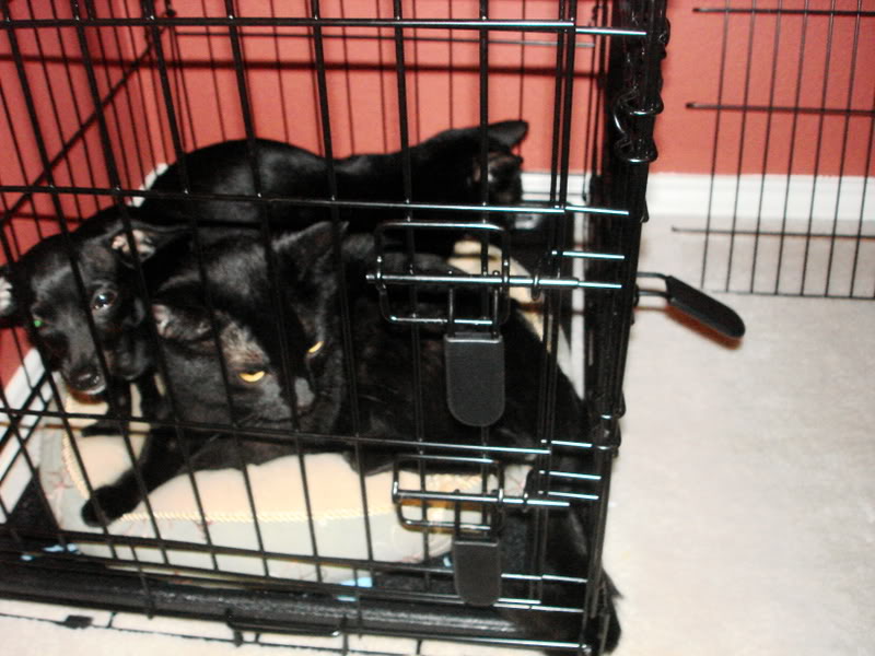 Name:  DSC01141.jpg
Views: 57
Size:  82.9 KB