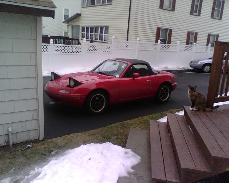 Name:  IMG00144.jpg
Views: 56
Size:  88.3 KB