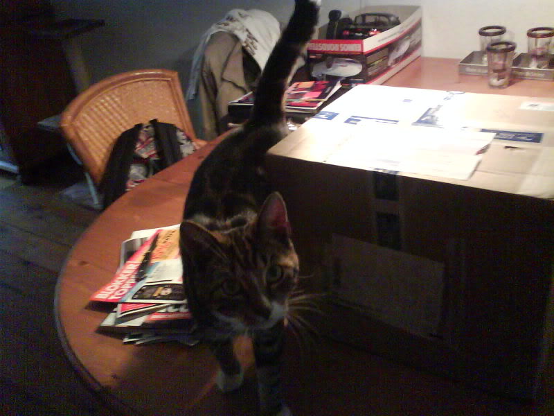 Name:  Kaaz_1.jpg
Views: 65
Size:  65.1 KB