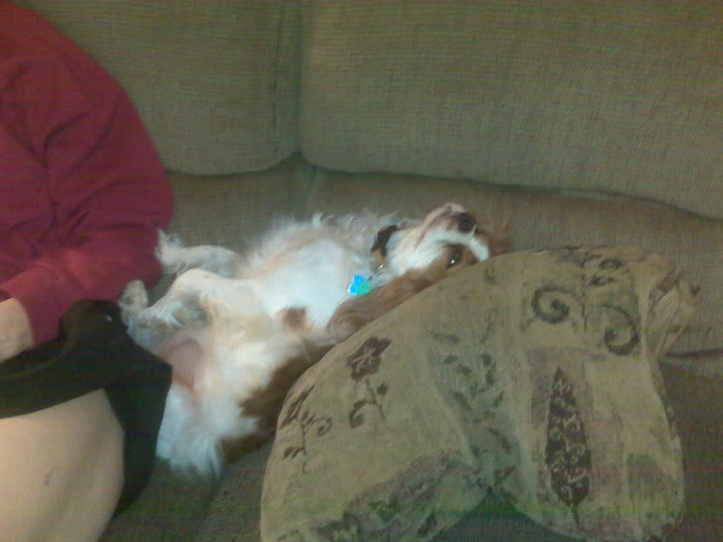 Name:  SU1HMDAwMjMuanBn.jpg
Views: 66
Size:  59.5 KB