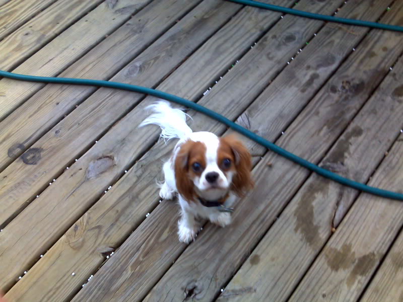 Name:  IMG00017.jpg
Views: 68
Size:  84.6 KB