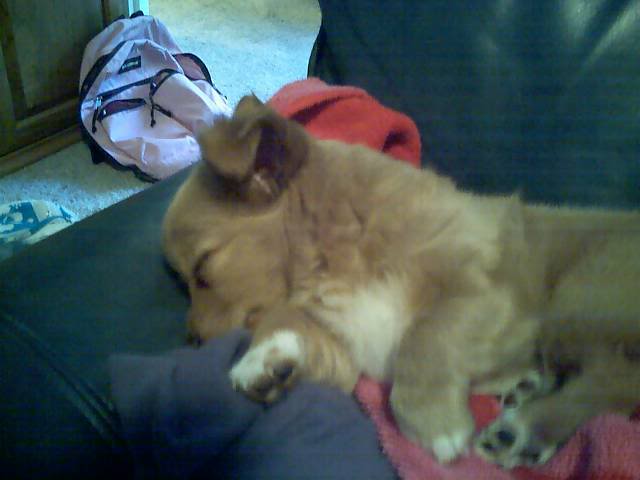 Name:  061507_19261.jpg
Views: 64
Size:  26.2 KB