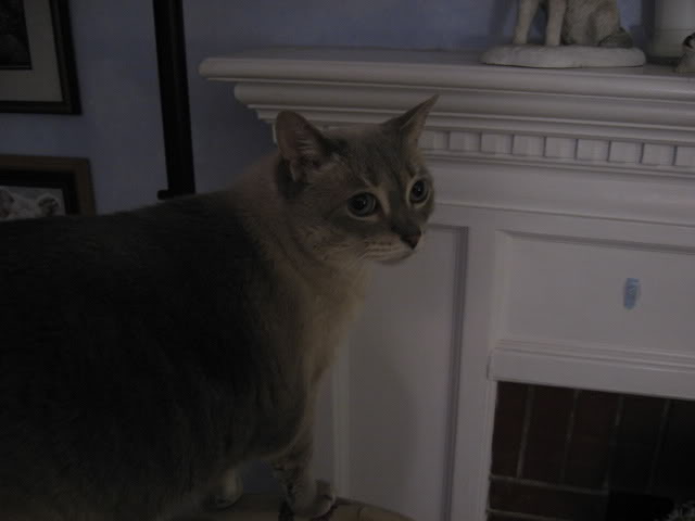 Name:  IMG_0088.jpg
Views: 63
Size:  23.7 KB