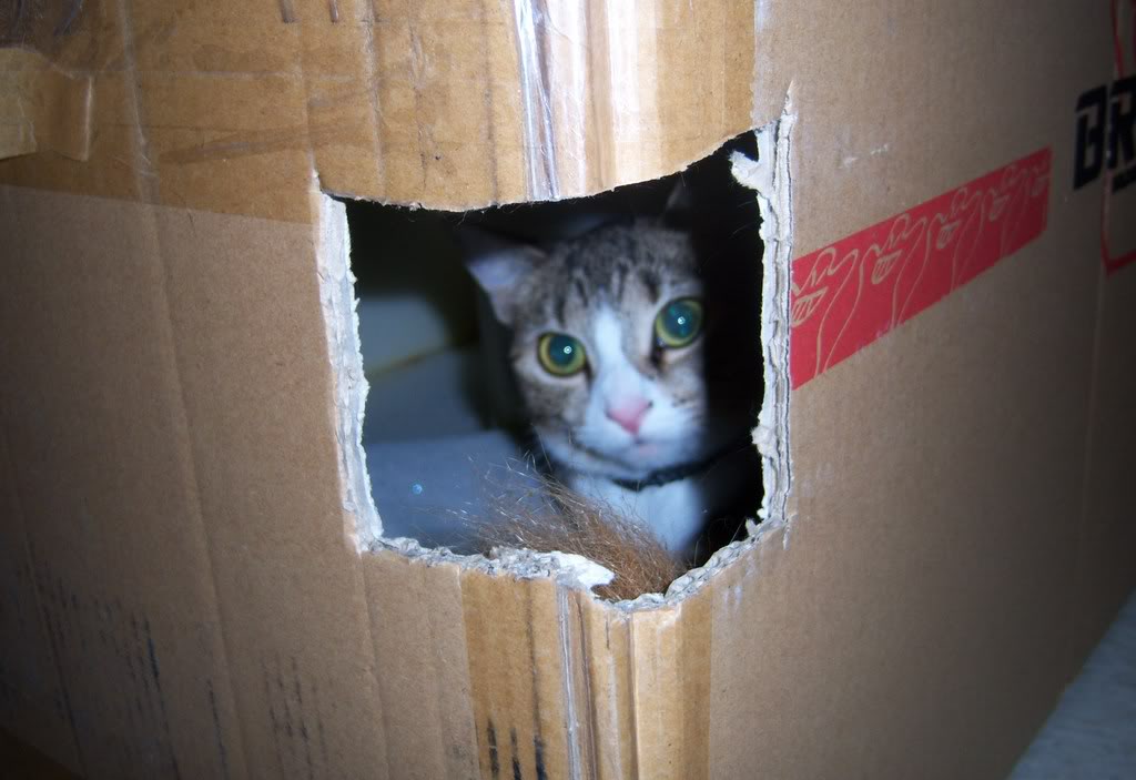 Name:  100_0106.jpg
Views: 53
Size:  97.7 KB