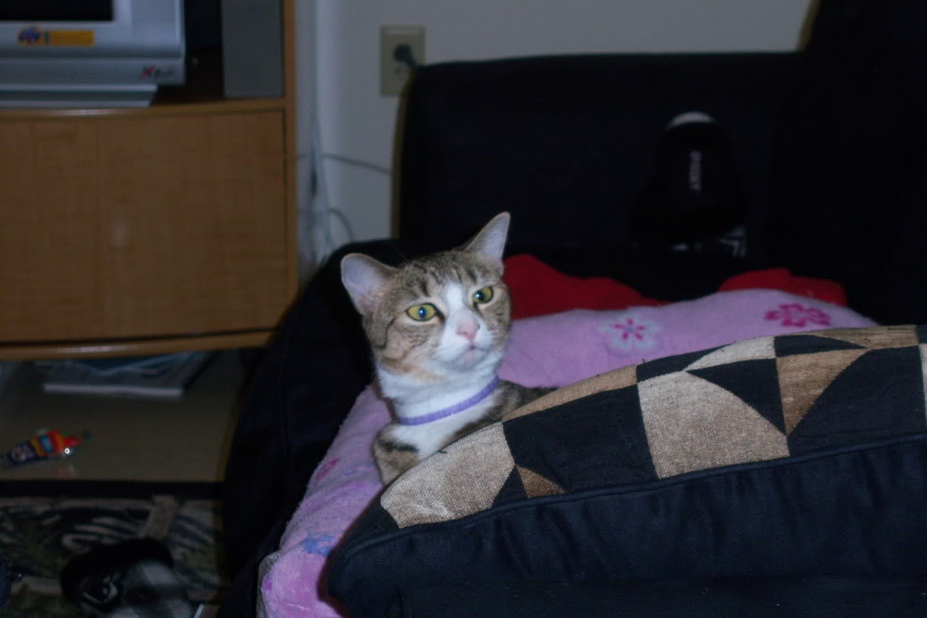 Name:  100_0628.jpg
Views: 58
Size:  84.8 KB