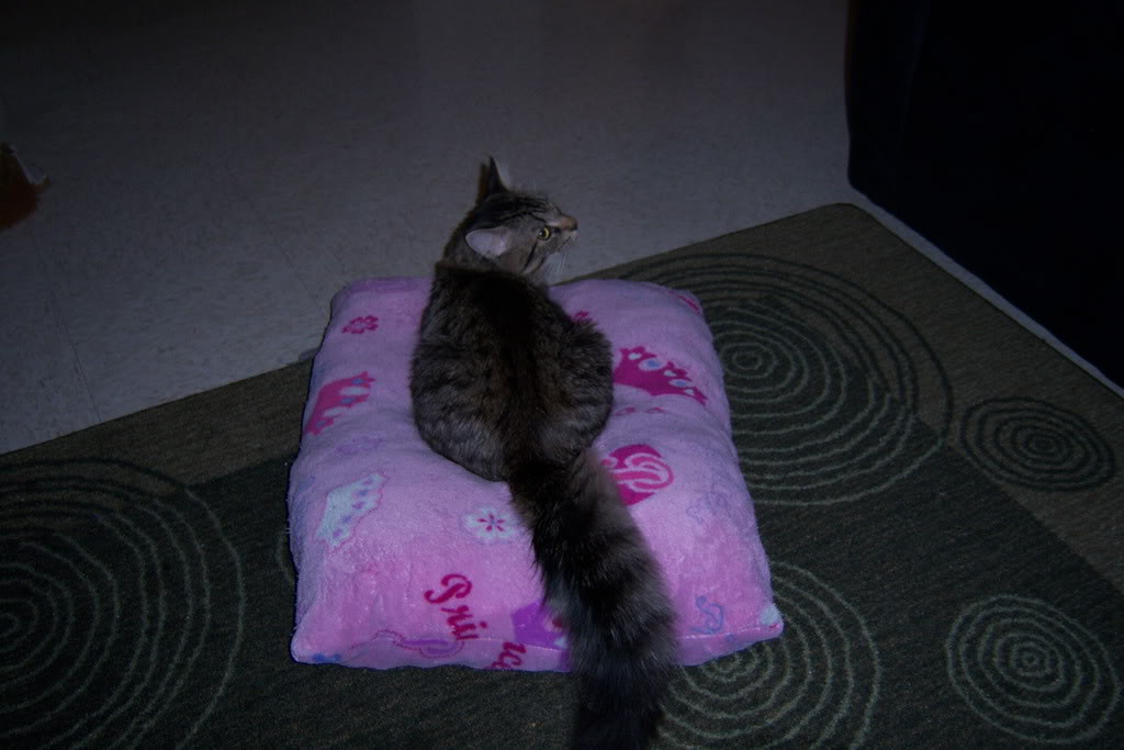 Name:  100_0666.jpg
Views: 48
Size:  105.7 KB