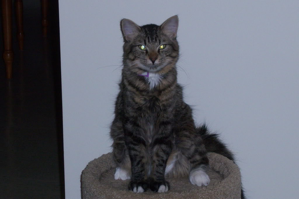 Name:  100_0490.jpg
Views: 60
Size:  95.8 KB