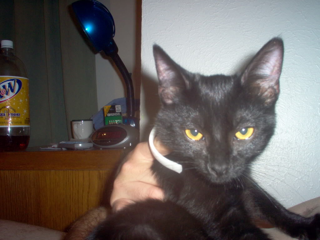 Name:  IM000225.jpg
Views: 74
Size:  88.2 KB