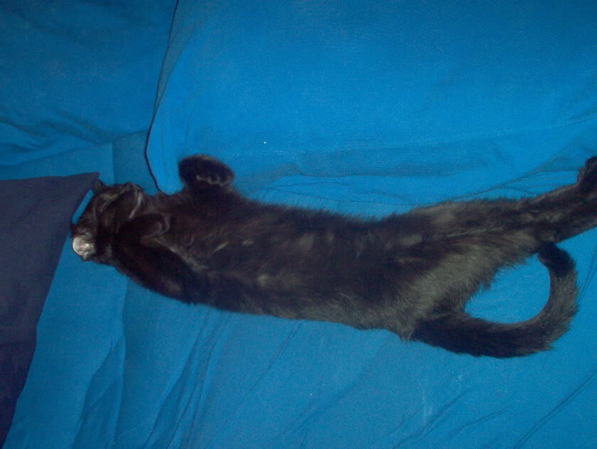 Name:  IM000210.jpg
Views: 64
Size:  65.6 KB