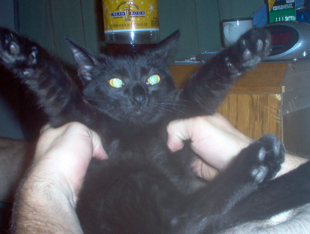 Name:  IM000224.jpg
Views: 66
Size:  83.7 KB