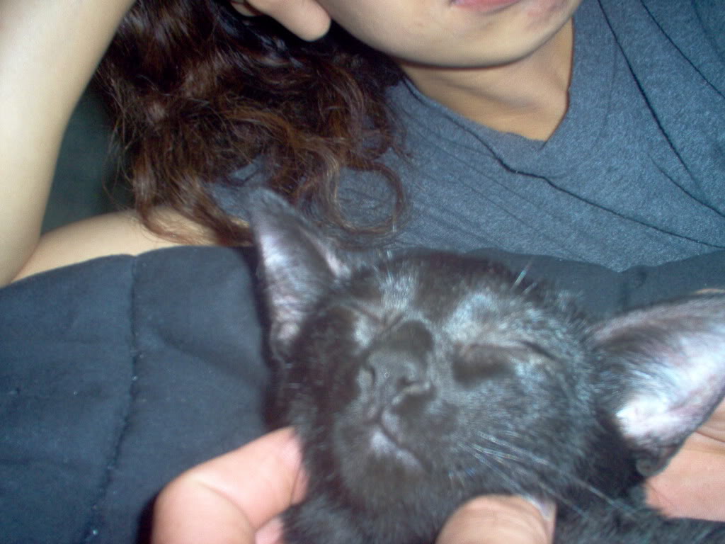 Name:  IM000233.jpg
Views: 73
Size:  98.0 KB