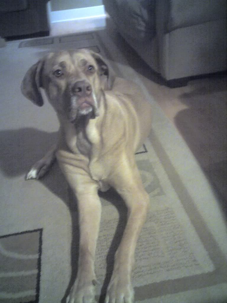 Name:  15-02-08_2009.jpg
Views: 106
Size:  85.8 KB