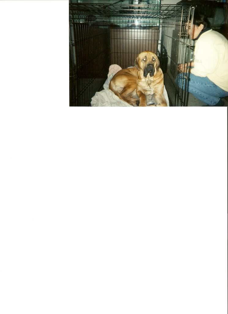 Name:  scan0001.jpg
Views: 109
Size:  48.8 KB