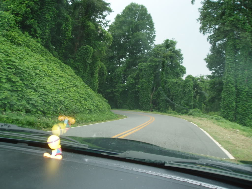 Name:  P7210006.jpg
Views: 64
Size:  144.0 KB