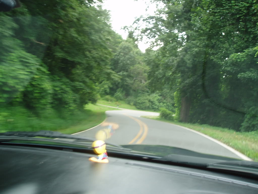 Name:  P7210007.jpg
Views: 53
Size:  103.2 KB