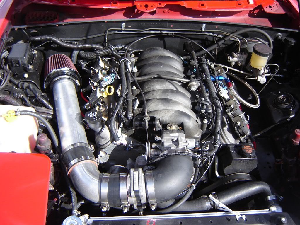 Name:  DSC04413.jpg
Views: 62
Size:  154.4 KB