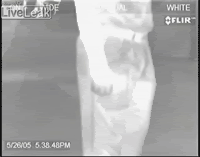 Name:  flirfart.gif
Views: 46
Size:  312.4 KB