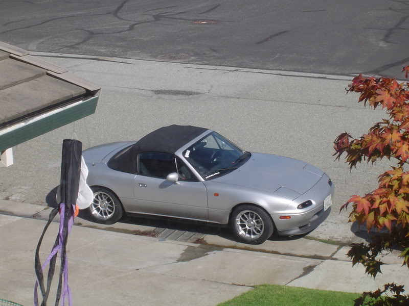 Name:  DSC07526.jpg
Views: 59
Size:  81.3 KB