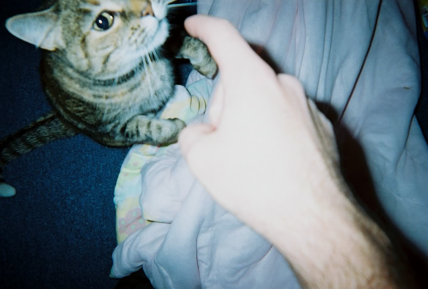 Name:  1228-R1-11-6A.jpg
Views: 92
Size:  122.1 KB