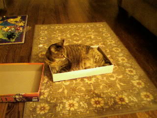 Name:  Nic_pics-0108.jpg
Views: 88
Size:  19.3 KB