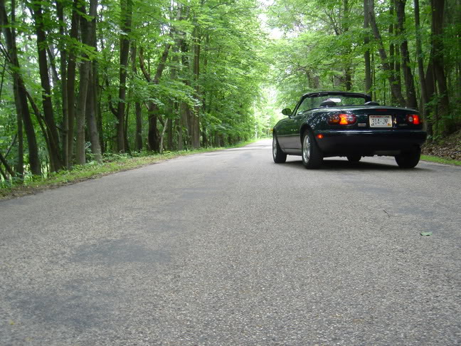 Name:  DSC01011.jpg
Views: 63
Size:  110.6 KB