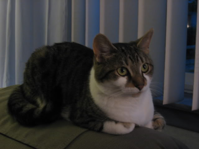 Name:  IMG_0079.jpg
Views: 97
Size:  29.0 KB