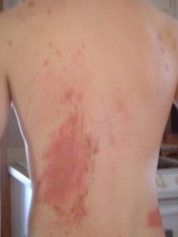 Name:  DSC00781.jpg
Views: 72
Size:  11.1 KB