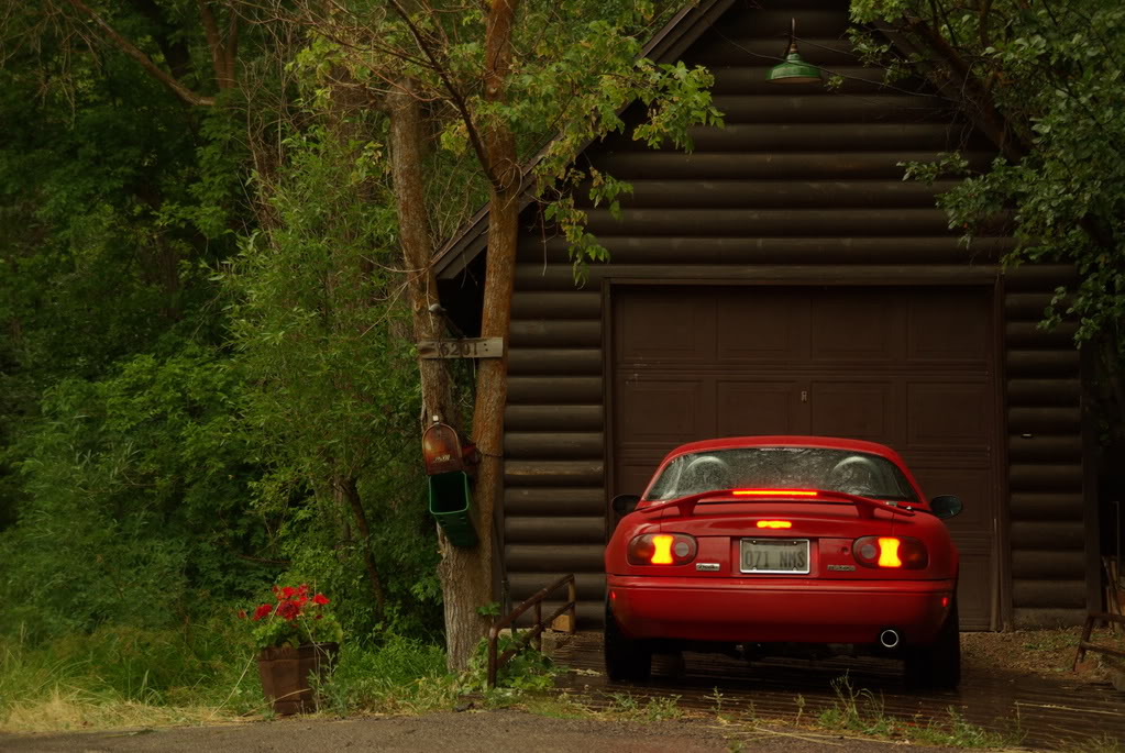 Name:  IMGP2104.jpg
Views: 69
Size:  200.8 KB