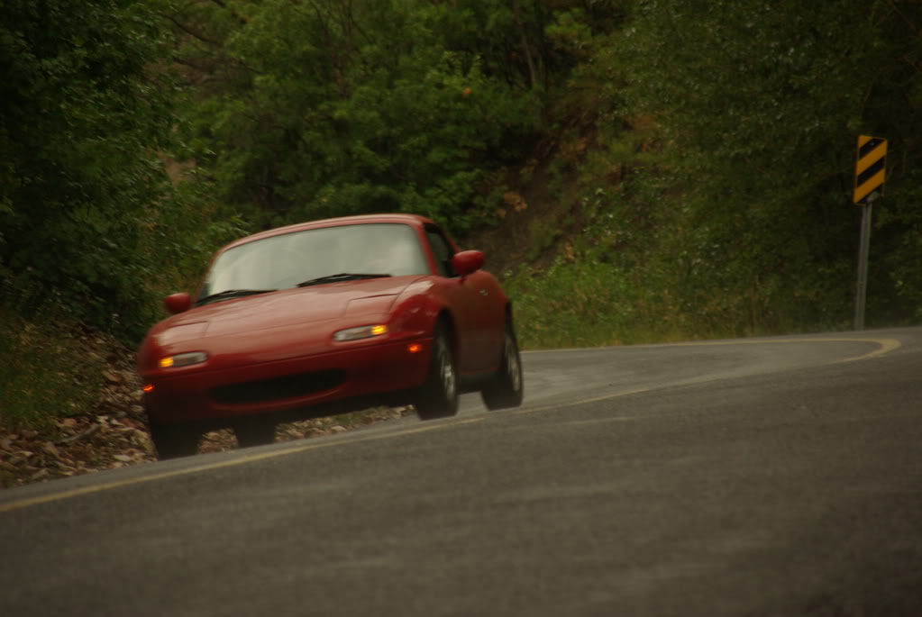 Name:  IMGP2102.jpg
Views: 67
Size:  111.2 KB