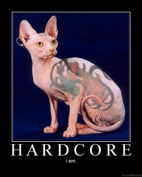 Name:  tattoocatlw0.jpg
Views: 65
Size:  29.4 KB