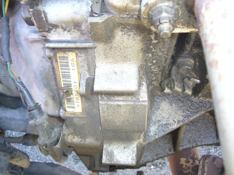 Name:  P1010558.jpg
Views: 54
Size:  110.3 KB